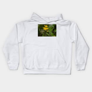 alb jerusalem artichokes Kids Hoodie